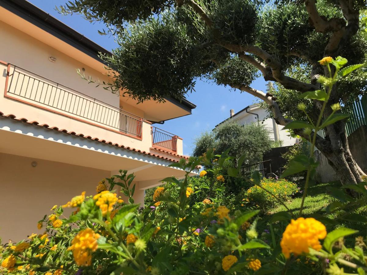 B&B Villa Degli Ulivi Прая-а-Маре Экстерьер фото